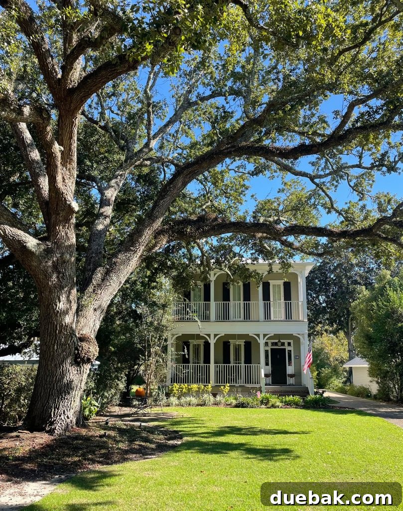Queen Anne Style Home With Large Tree In Ocean Springs Mississippi