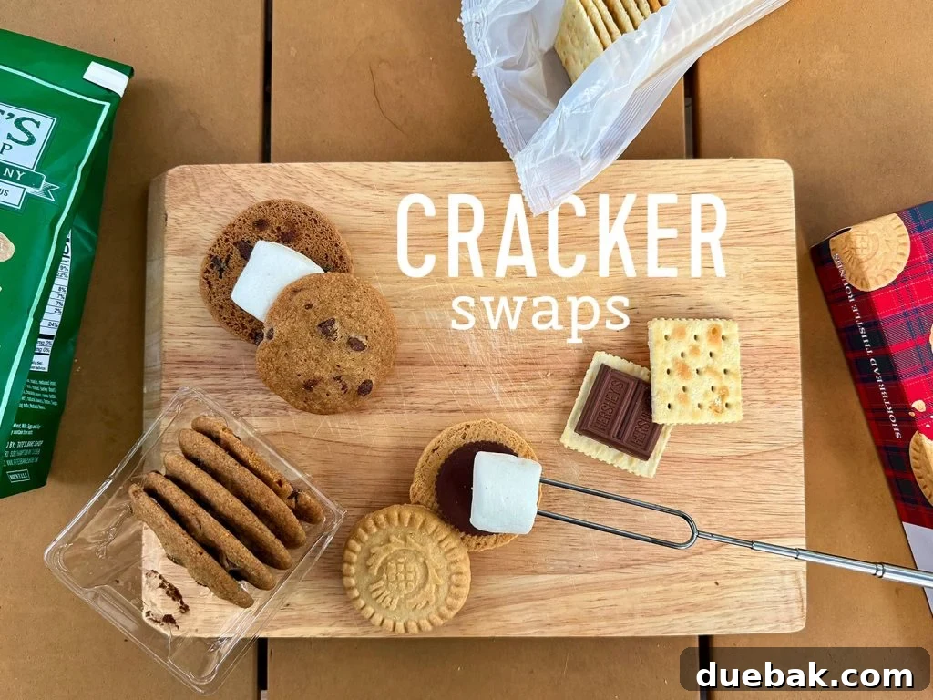 Upraded Smores With Graham Cracker Alternatives Like Cookies and Saltines