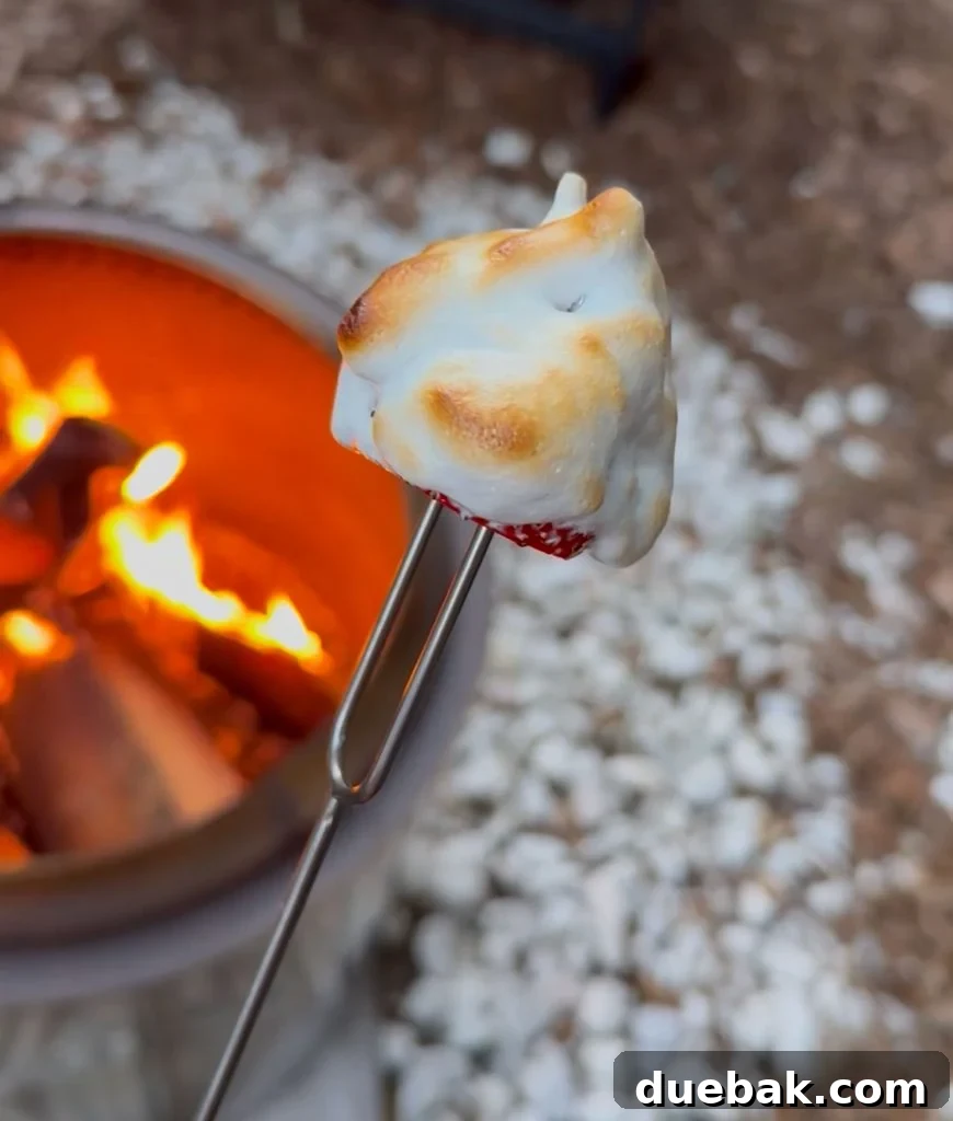 Toasted Marshmallow Fluff With Whole Strawberry Over Firepit