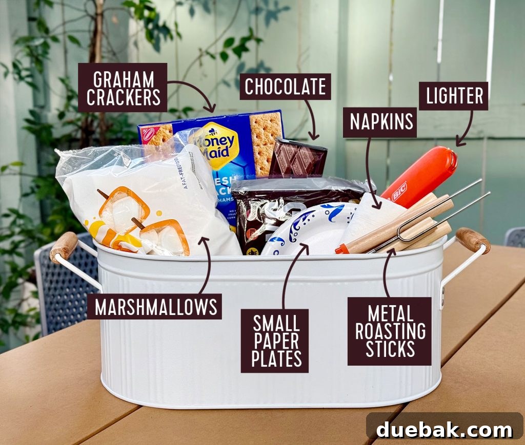 Smores Supply Kit In Metal Tin With Ingredients Lighter Plates Napkins And Metal Roasting Sticks