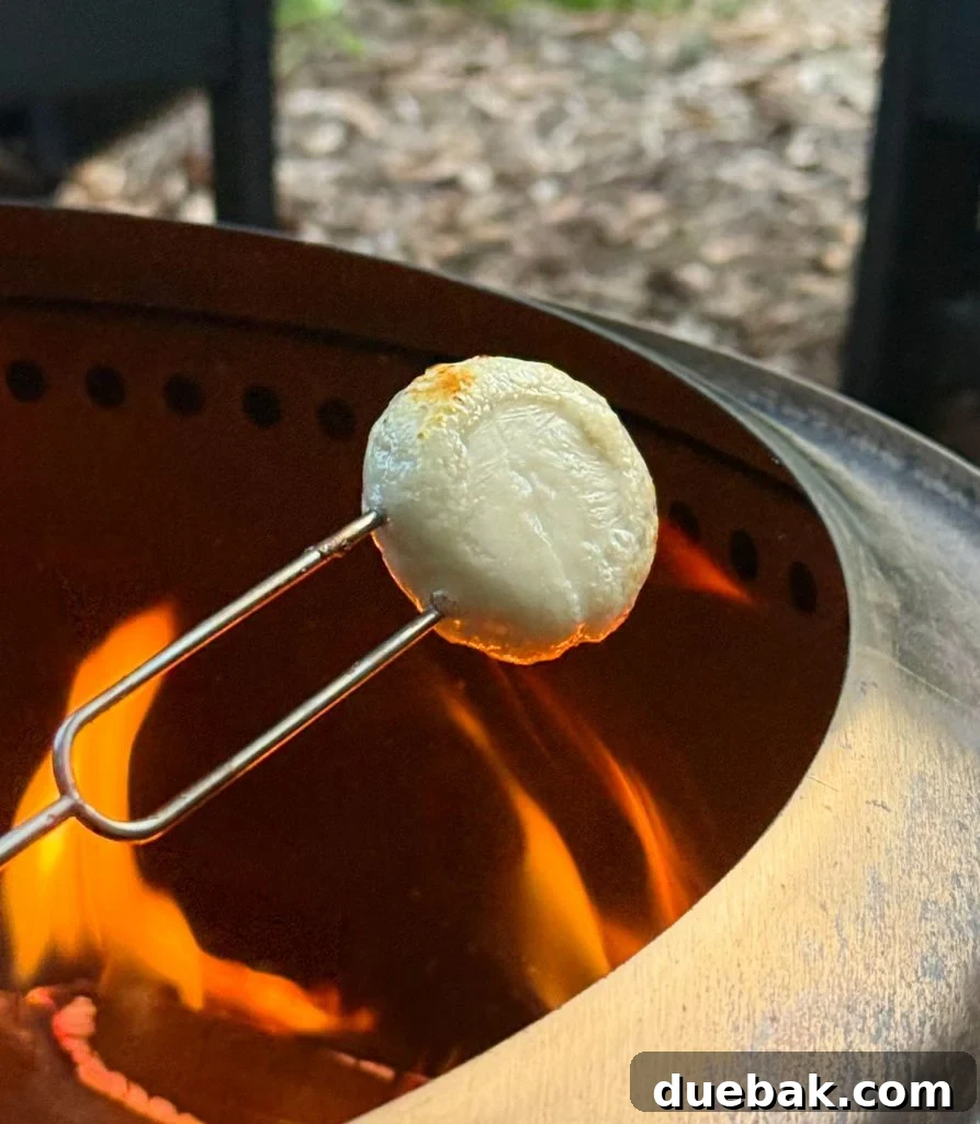 Roasting Babybell Cheese Over Firepit Flame for Savory Smores