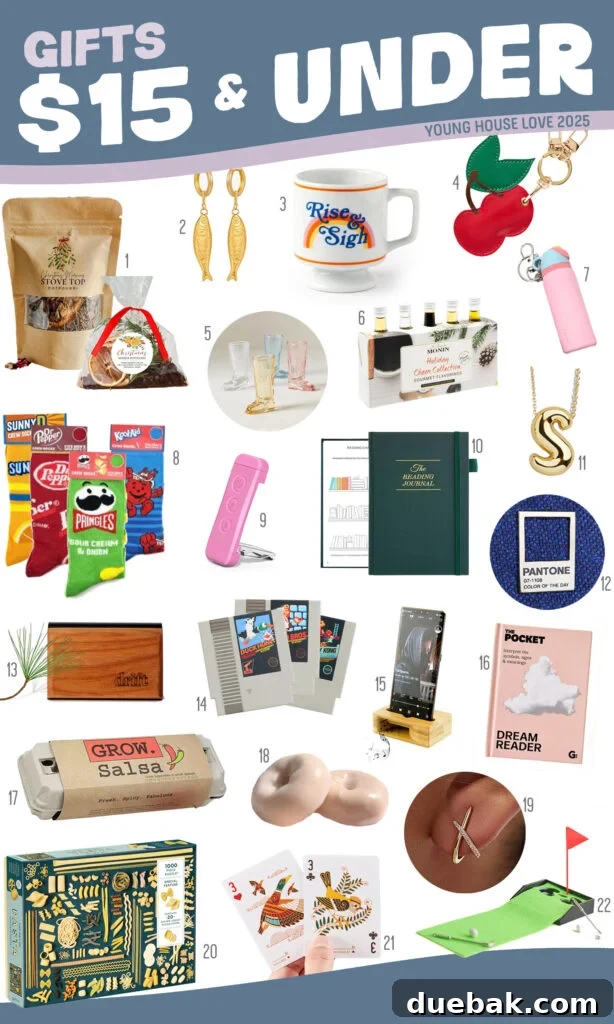 Your 2025 Holiday Gift Guide for All Ages and Budget Friendly Presents Under 15 Dollars 20 Holiday Gift Guide Mood Board - Amazing Gift Ideas Under $15