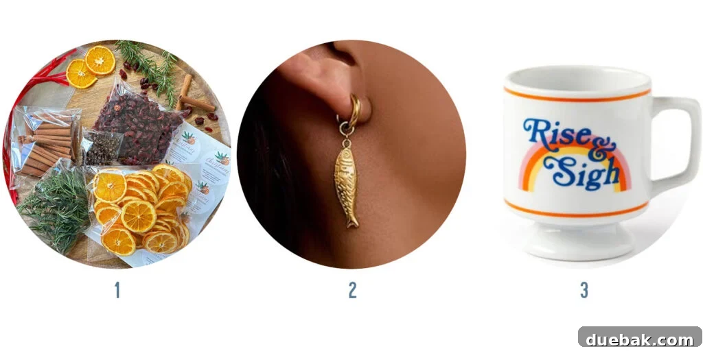 Your 2025 Holiday Gift Guide for All Ages and Budget Friendly Presents Under 15 Dollars 21 Top 3 Affordable Gifts: Stovetop Simmer Potpourri, Gold Fish Earrings, Rise & Sigh Mug