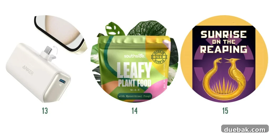 Johns Favorite Things of 2025 Items 13 14 15 - Wireless Charger, Plant Food, Sunrise on the Reaping Book.