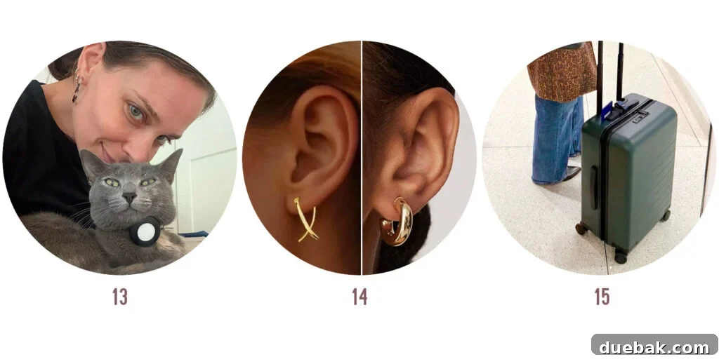 Sherrys Favorite Things of 2025 Items 13 14 15 - Quercetin Allergy Helper, X Earrings & Chunky Hoops, Carry-On Suitcase.