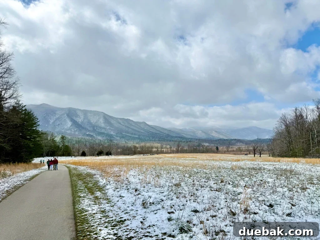 View of Great Smoky Mountain National Park from Cades Cove Valley