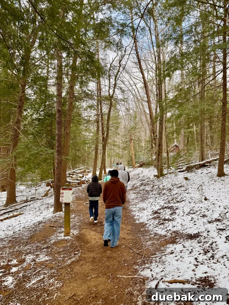 Snowy Hike In Great Smoky Mountain National Park Cades Cove