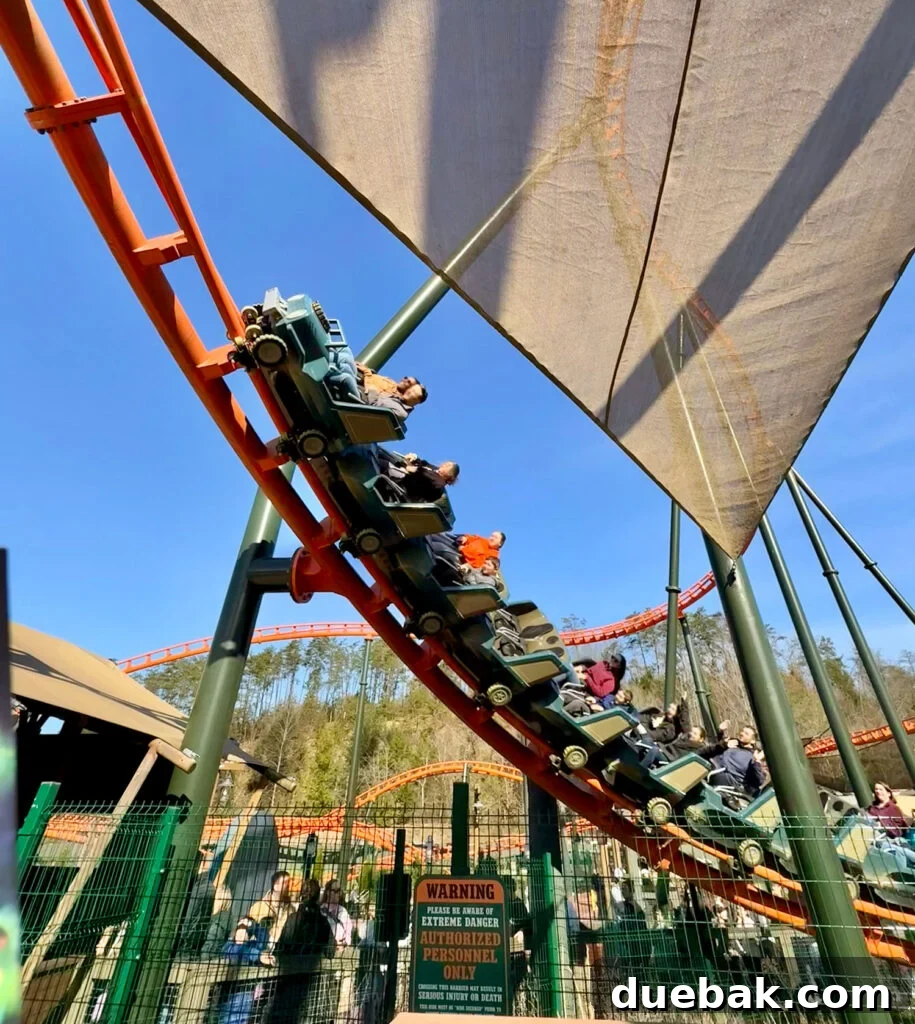 Big Bear Mountain Rollercoaster at Dollywood Theme Park Pigeon Forge TN