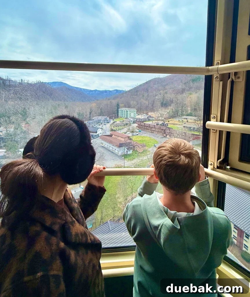 Sherry and Son Overlooking Great Smokies in Gatlinburg TN from Ober Mountain Tram