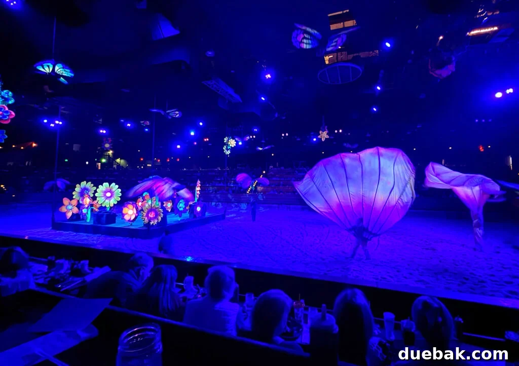 Butterfly Blacklight Scene From Dolly Stampede Dinner Show Pigeon Forge TN