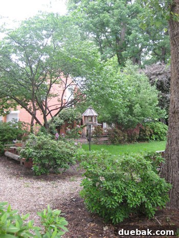 Stunning Richmond Transformation 12 One of Eric's beautifully restored guest houses visible in the distance, nestled amidst lush trees on the sprawling property, showcasing privacy and rental income potential.