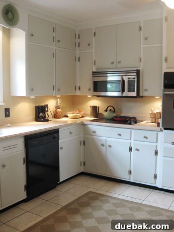 Stunning Richmond Transformation 10 Bright and updated kitchen with freshly painted cabinets, modern stainless steel appliances, and a rustic woven rug, showcasing a perfect blend of old and new.