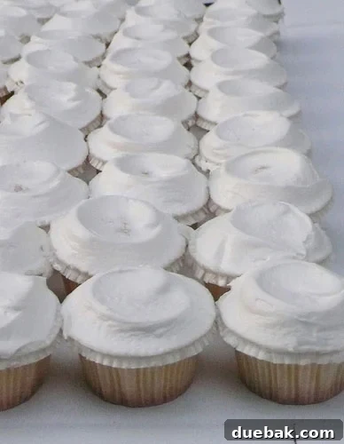 A large tray of vanilla cupcakes, wedding dessert