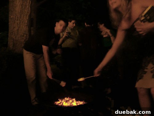 Guests making s'mores around a firepit at a wedding