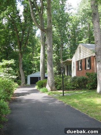 Designing Our First Home's Curb Appeal 7 Side view of the house as seen from the long driveway, showcasing its architectural lines.