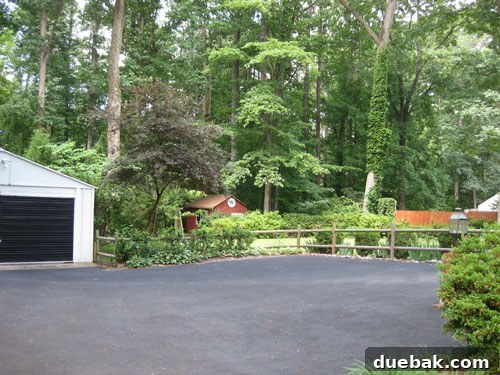 Designing Our First Home's Curb Appeal 9 View of the backyard area looking slightly to the right, showing more of the outdoor space.