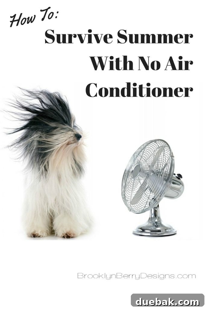 Cool Your House Without Air Conditioner - Brooklyn Berry Designs, fan blowing over ice