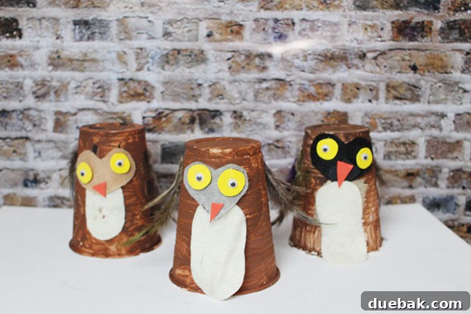 Plastic cup owl craft process