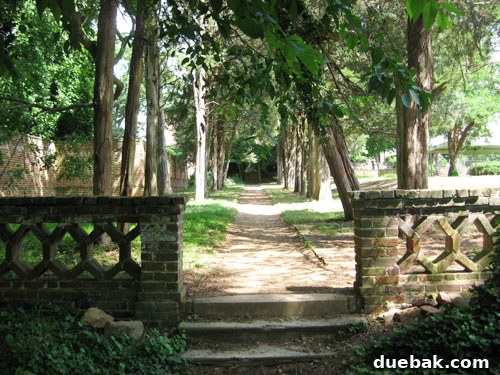 Wedding Week Two Our Brush with Forever 7 Woodsy wedding location with magical tree-lined path