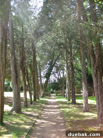 Wedding Week Two Our Brush with Forever 10 Richmond wedding venue tree-lined path with magical light