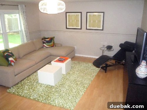 The Green Rug Effect: A Family Room Makeover 4 decorating-help-before-and-after-mood-board-makeover