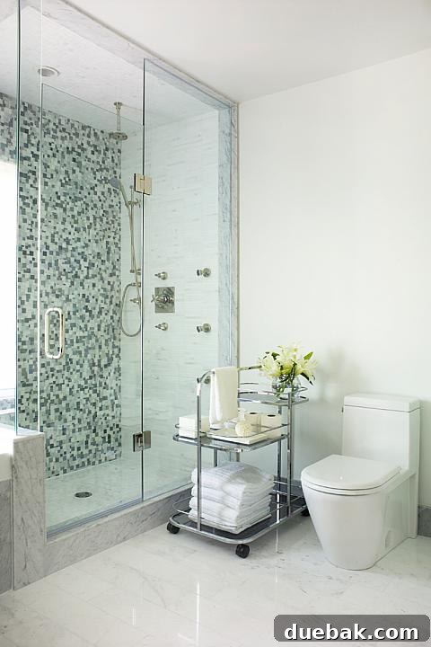 g5lf6616-modern-frameless-shower
