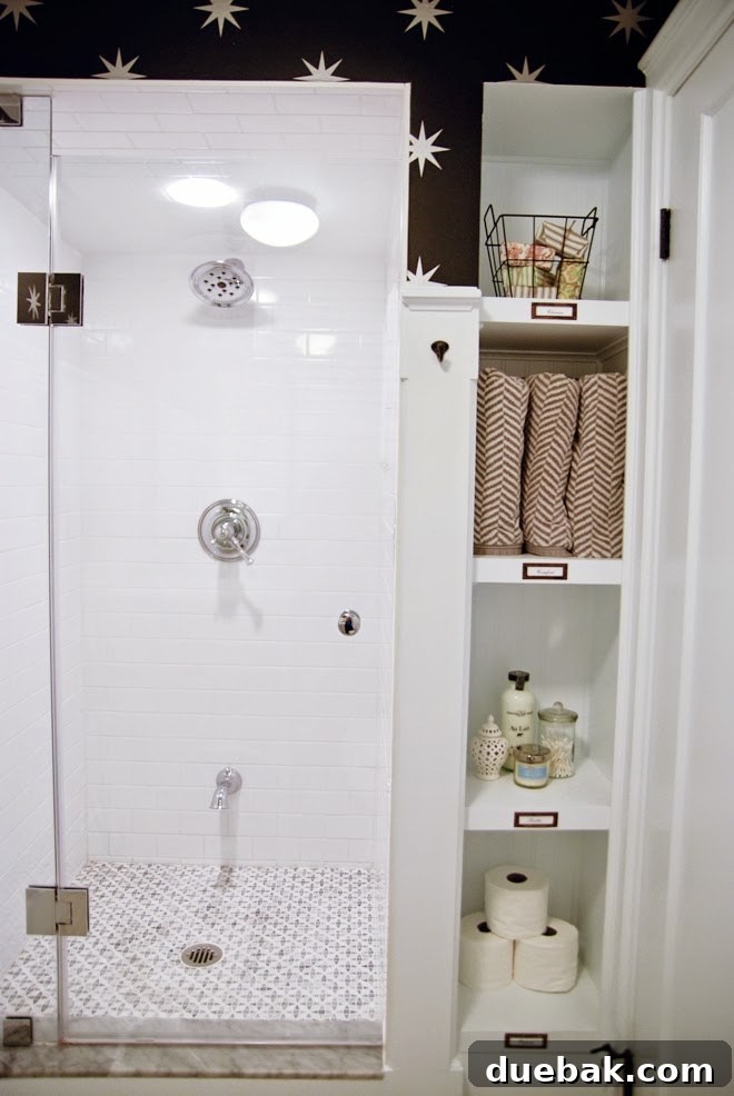 final-basement_bathroom-frameless-shower