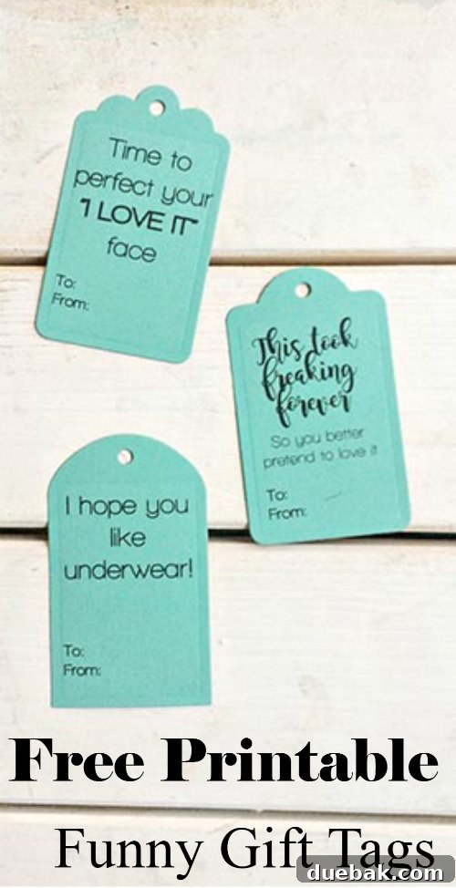 Hilarious Printable Gift Tags 6 free funny printable gift tags for various occasions and holidays, pin for later graphic