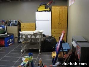 Transform Your Space with Vinyl Plank Flooring 3 Initial view of the basement showing old carpet and tiles