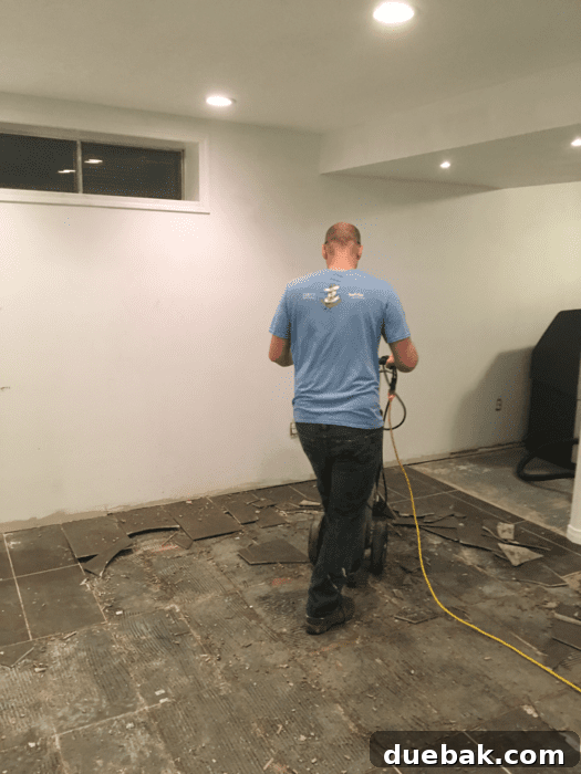 floor-demo