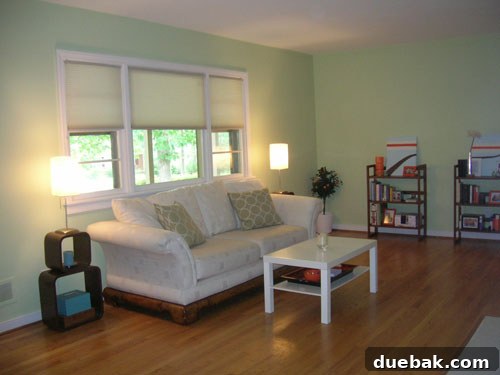 Master Your Home Project Before You Begin 5 Living room after initial paint and divider removal