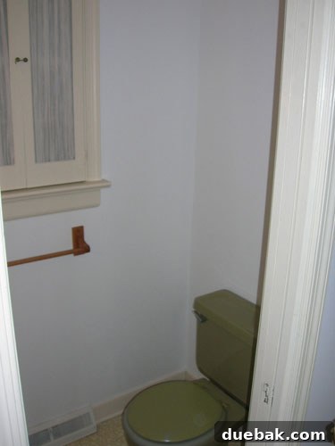 Close-up of a vintage green toilet in a half bathroom, a charming original detail of the house.