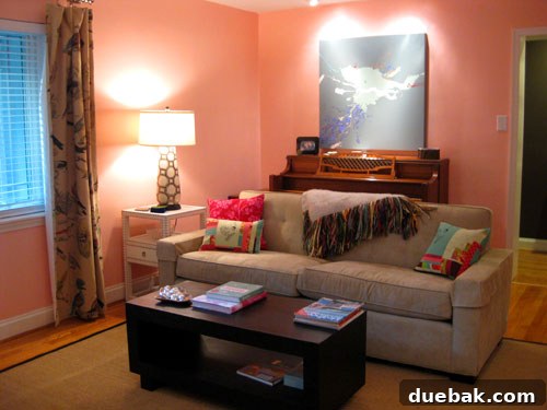 Comfortable seating area in Cindy and Robert's living room, featuring a beautifully recovered blue chair, colorful throw pillows, and art, embodying a blend of modern and eco-friendly design