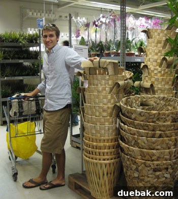 My Ikea Habit: Always Browsing, Rarely Buying 14 Versatile woven planter baskets from IKEA for plants or storage