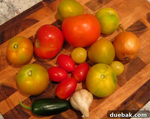 Homemade Salsa Crafting Kit 3 Close-up of fresh, locally sourced salsa ingredients like tomatoes, onions, and jalapenos.