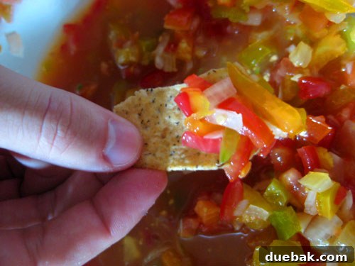 Homemade Salsa Crafting Kit 5 A bowl of vibrant homemade salsa, ready to be enjoyed with tortilla chips.