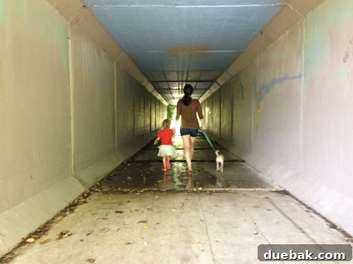 Clara playing in a shaded tunnel during a park walk