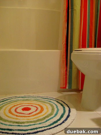 Colorful shower curtain and rainbow rug in Olivia's updated bathroom