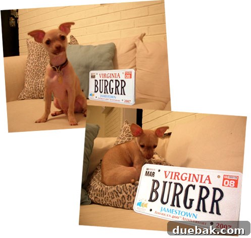 A close-up photo of a license plate that reads 'Burgrr' with a slight blur in the background.