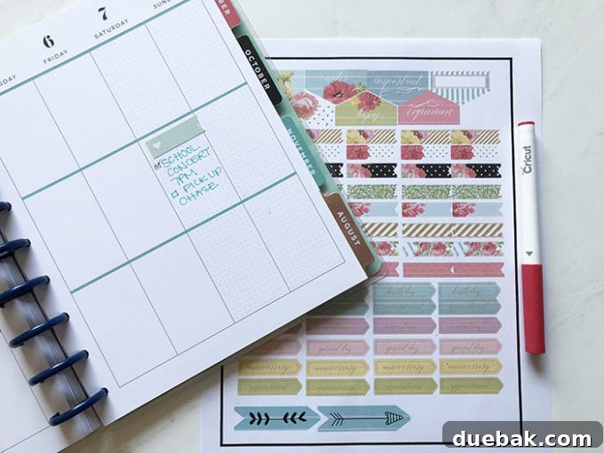 Vibrant assortment of DIY planner stickers arranged on a white background, showcasing various shapes and designs perfect for daily planning and tracking.
