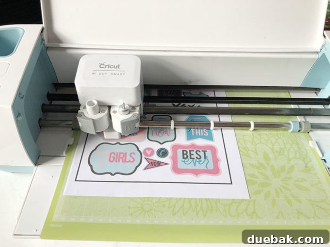 A sheet of various printable planner stickers featuring motivational quotes, icons, and decorative elements ready to be cut by a Cricut machine.