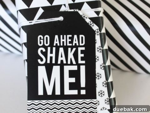 I think these tags look amazing paired with a graphic white and black paper! And seriously, how many gift shakers do you know in your life?