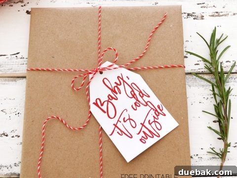 I love the hand written calligraphy style of these!
