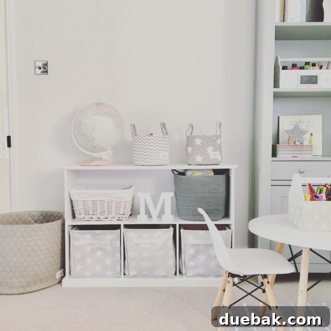 Whimsical Playroom Designs for Endless Fun 12 A charming and simple toy storage solution, elegantly integrated into a playroom with a unique light switch, demonstrating how small details enhance the space.
