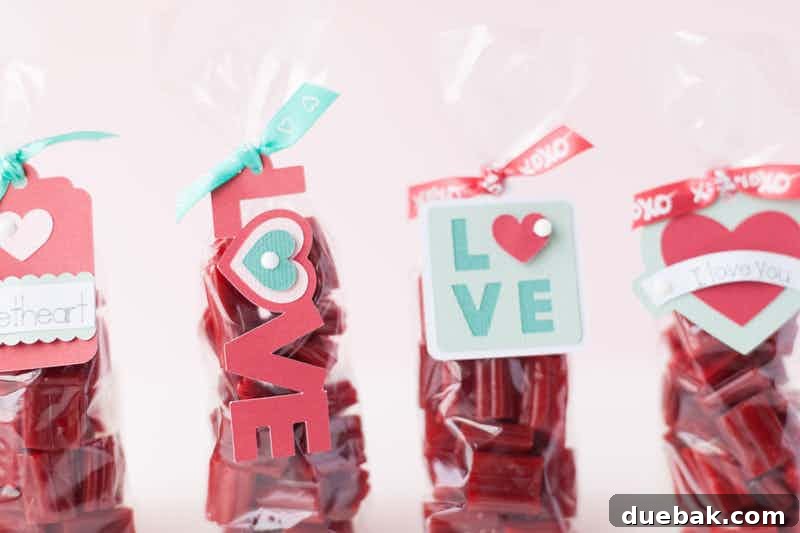 Valentine Candy Bag Tag made with Cricut