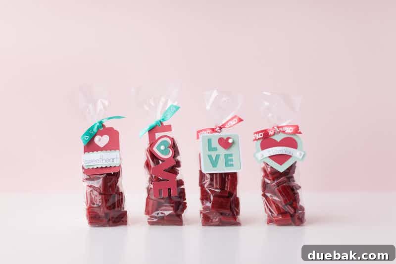 Valentine Candy Bags with cute tags and ribbons
