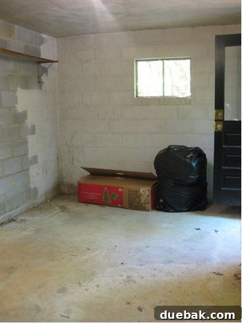 Dark and dusty basement interior before renovation