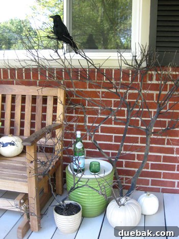 Close-up of black-painted dead branches with a raven for Halloween decor
