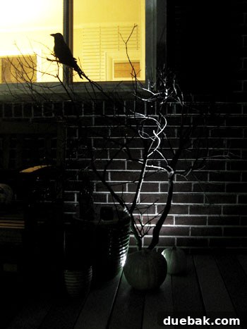 Push lights illuminating black branches from behind for a spooky effect