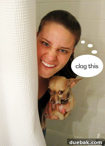 Sherry holding chihuahua in bathroom with clog this speech bubble